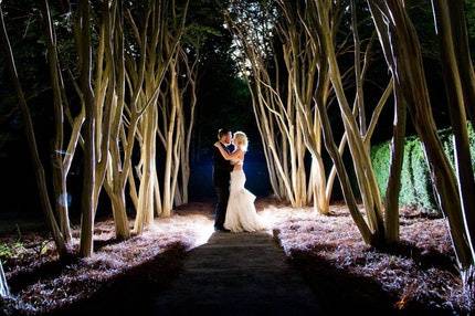 Meadowlark Gardens at night