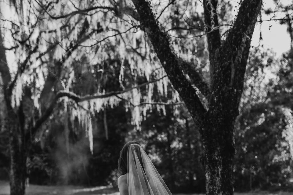 Bridal Portraits