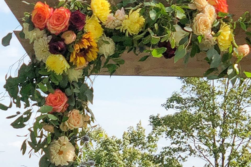 Outdoor trellis in blooms