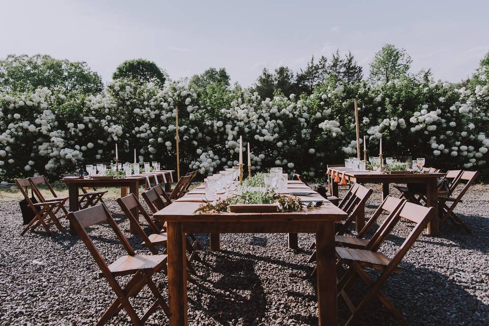 Snowball Viburnum&Farm Tables