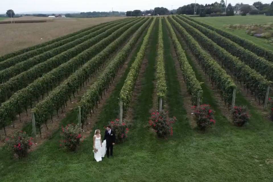 Elm AV PA+MD Videographer