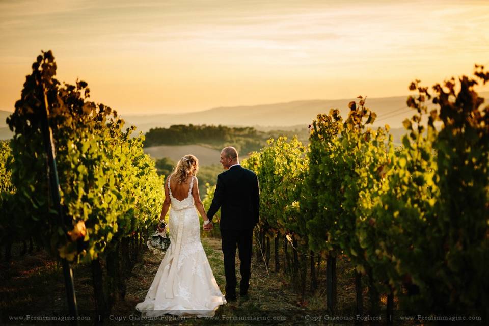 Wedding in the vineyards