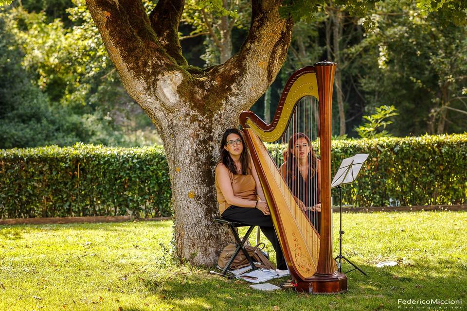 Duo with harp