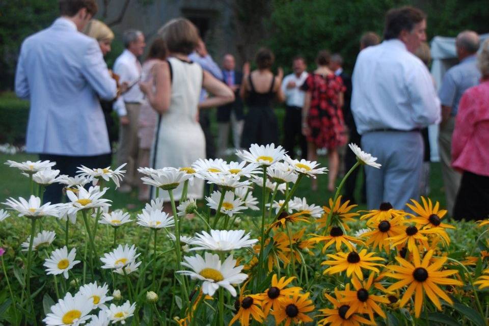 Garden in bloom