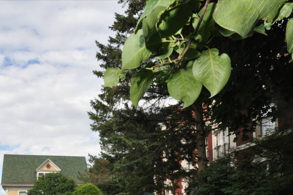 Lynne Parks '68 SUNY Cortland Alumni House