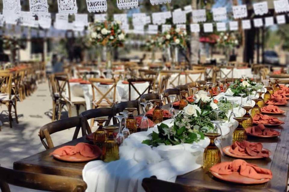 Outdoor reception