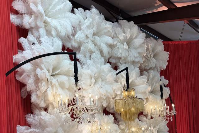 Feather Chandelier Wall