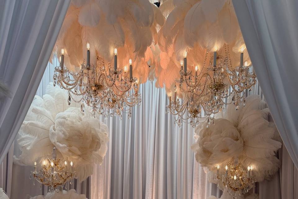 360 Degree Draping Enclosure