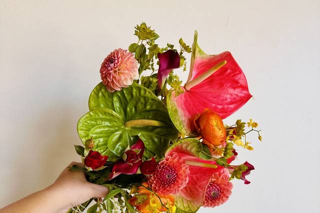 Anthurium sunset