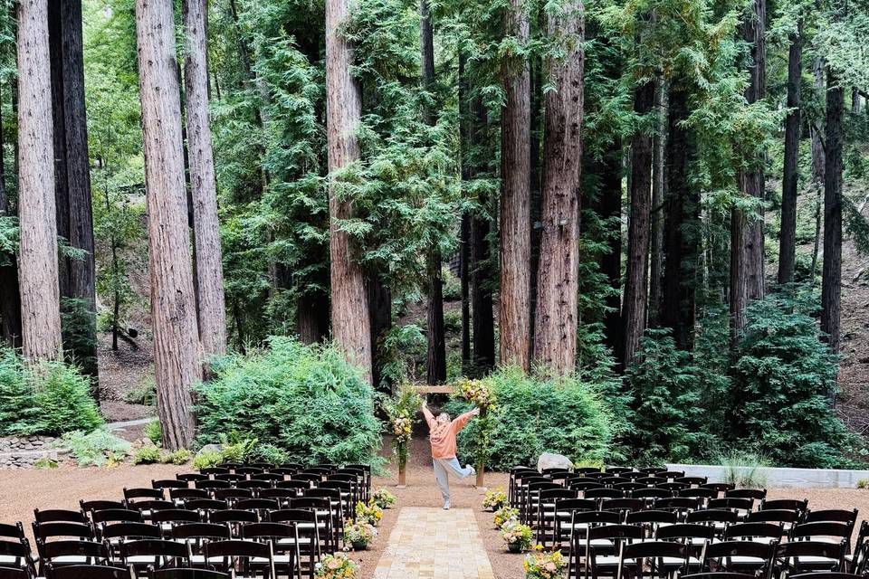 Gorgeous aisle
