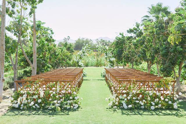 LVL Weddings & Events