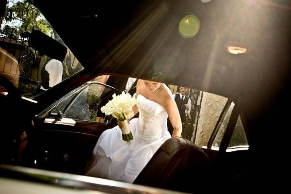 Perry Knotts Photography