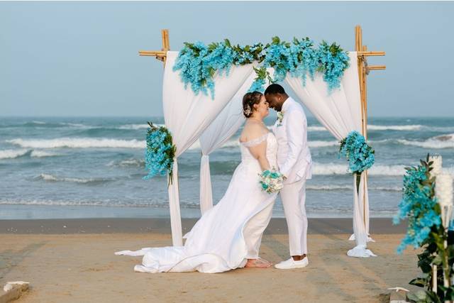 Dream Big Brides