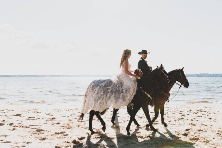 Sunset horses