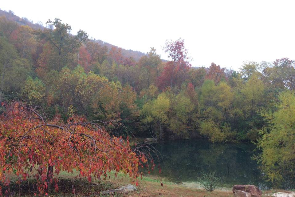 Pond view and ridgeside