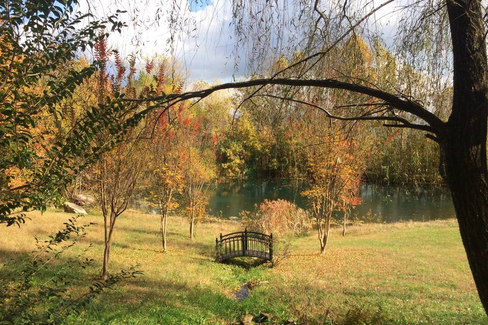 Side lawn, near pond