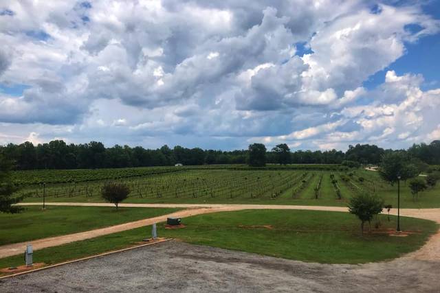 Hodges Vineyards & Winery