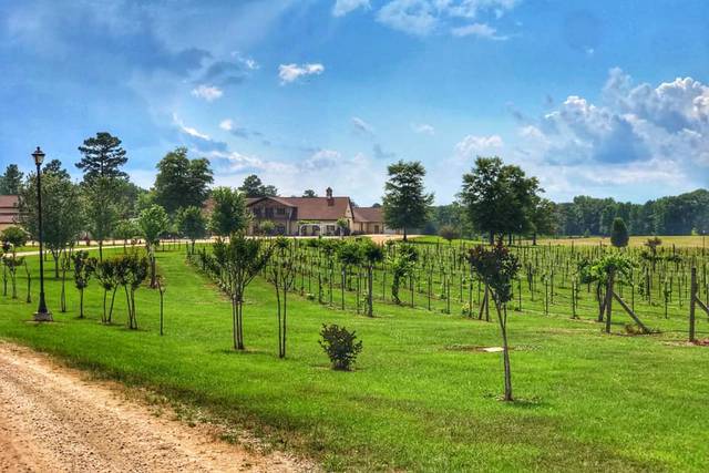 Hodges Vineyards & Winery