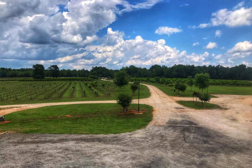 Hodges Vineyards & Winery
