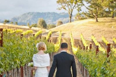 A Wedding in Wine Country