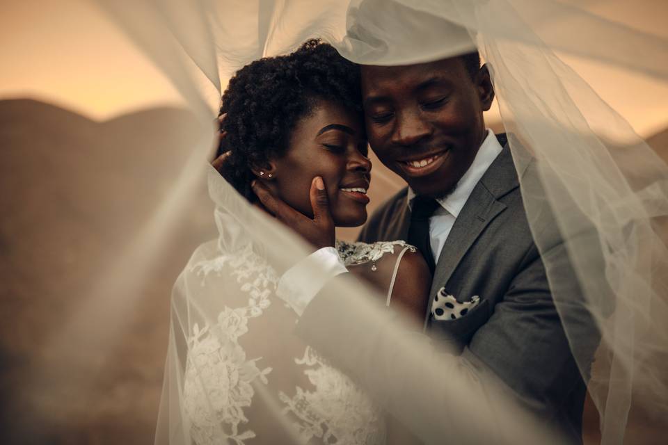 Beautiful couple under veil - Alex James Prior