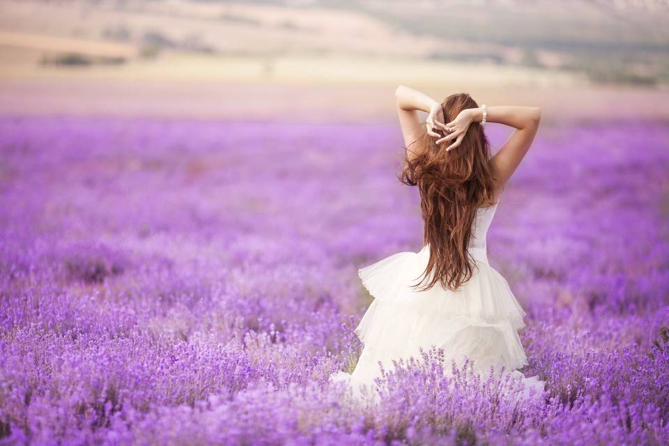 Bride wanders in meadow - Alex James Prior