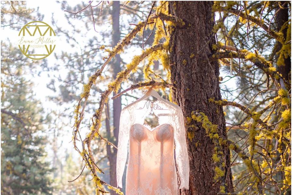 Wedding gown in the woods