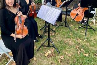 Allegro Music