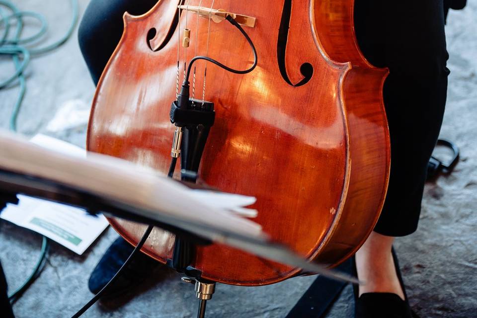 Solo cello for a wedding