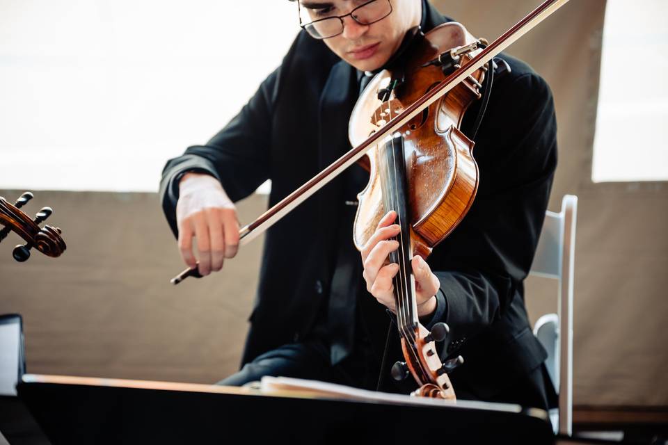 Viola in a string quartet