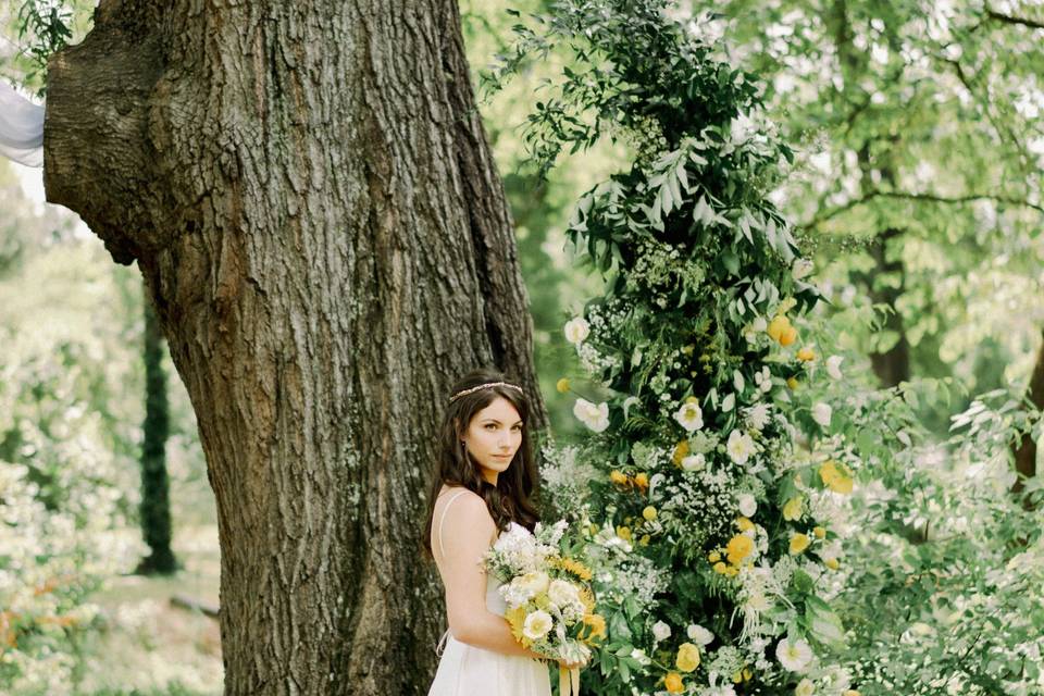 Bridal portrait