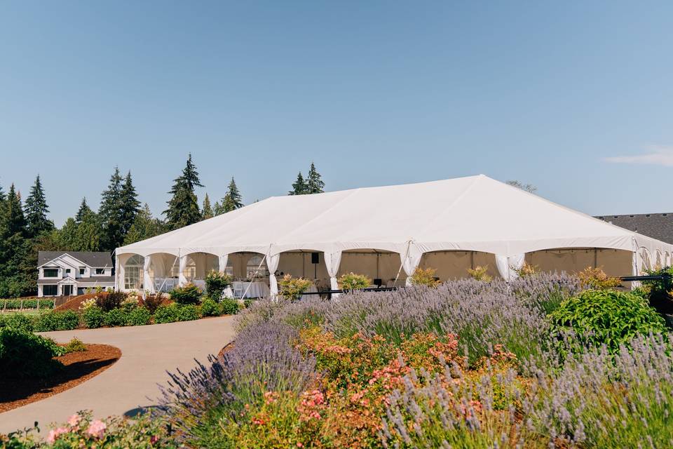 View of reception tent