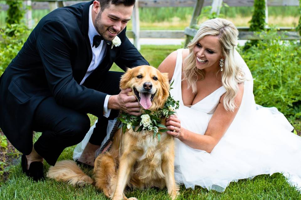 Couple with their wedding dog!