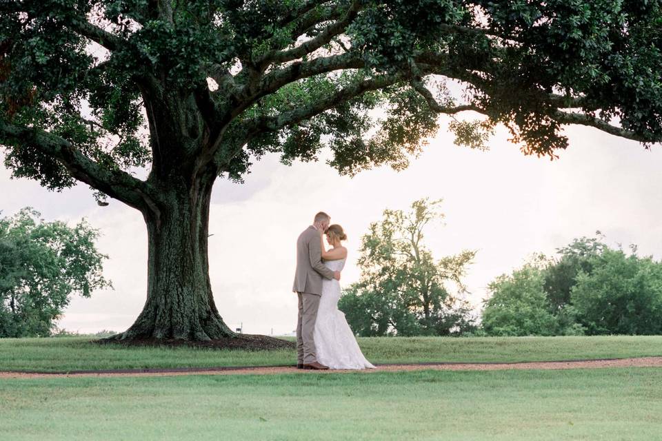 Love Under the Trees