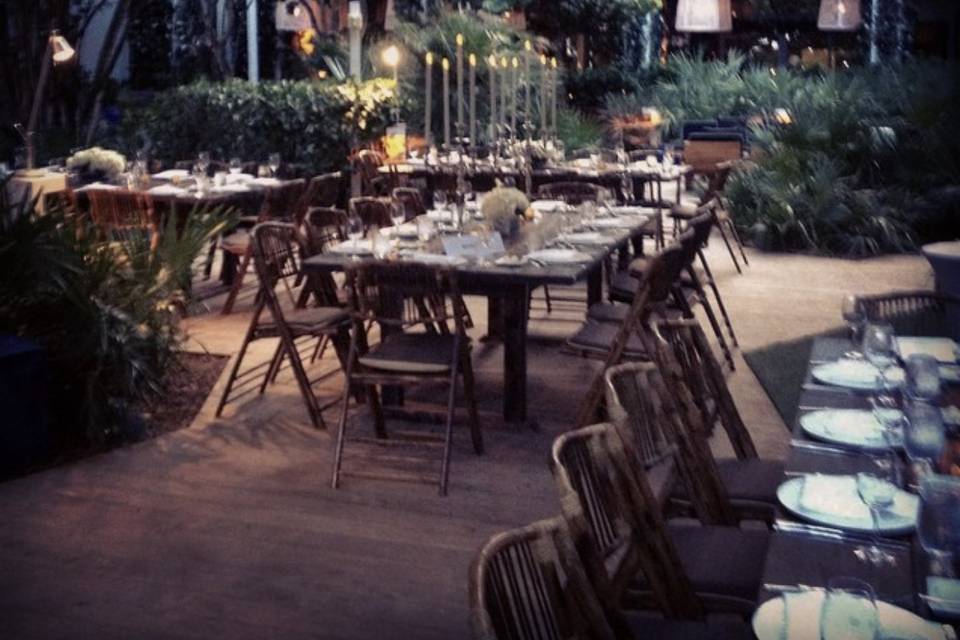 Garden