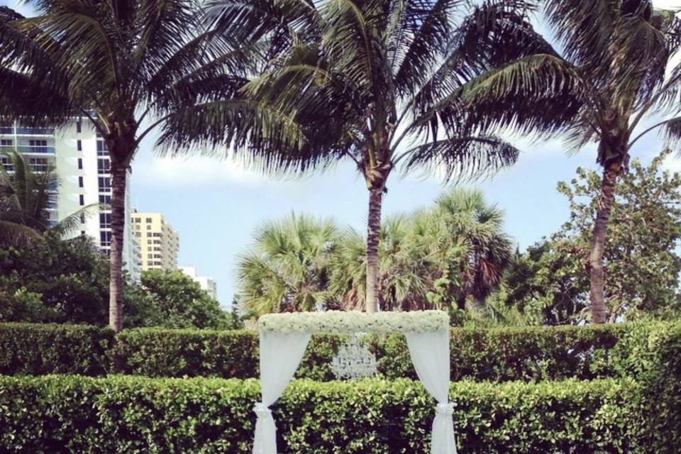 W south beach