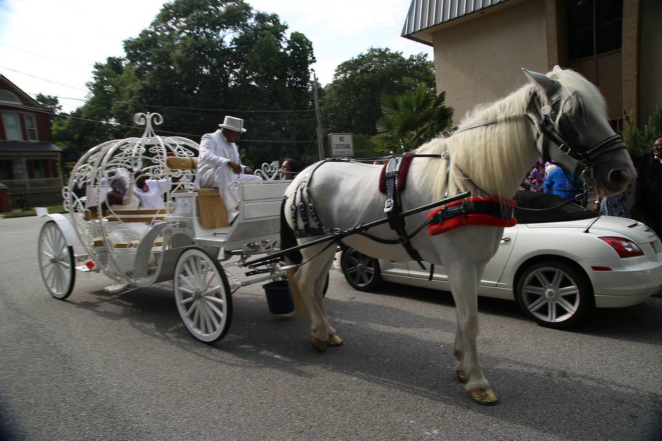 Horse and carriage