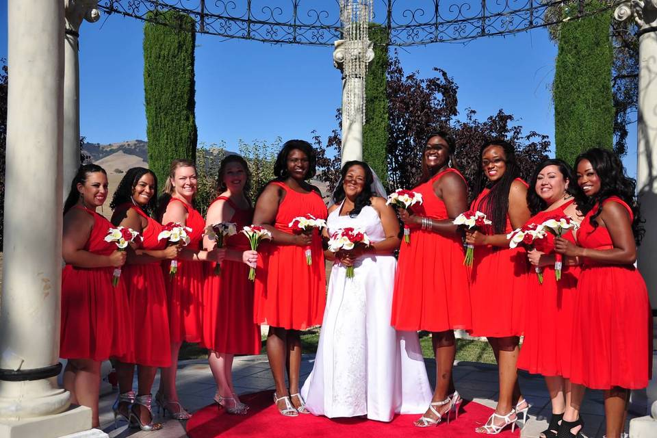 Bride with bridesmaids