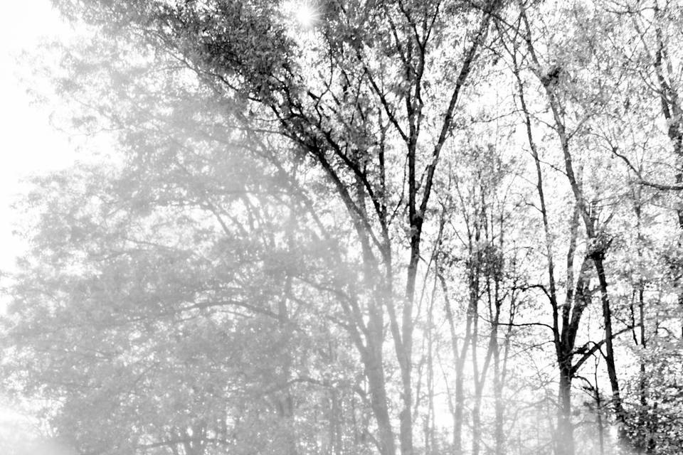 Kristys Imagination Photograph