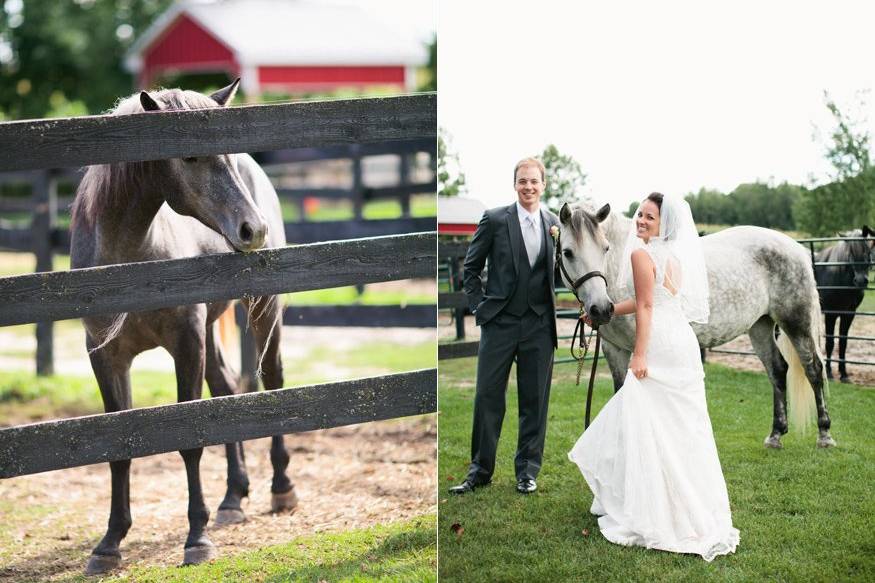 Romantic Backyard Wedding