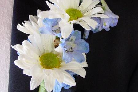 simple field daisies and native colorado blue delphinium come together perfectly in this casual boutonniere