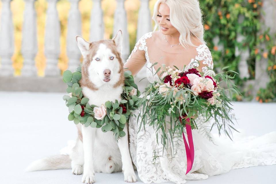 Pet friendly wedding venue