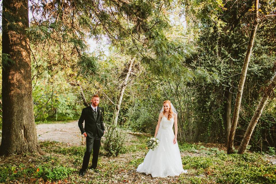 Couple's portrait