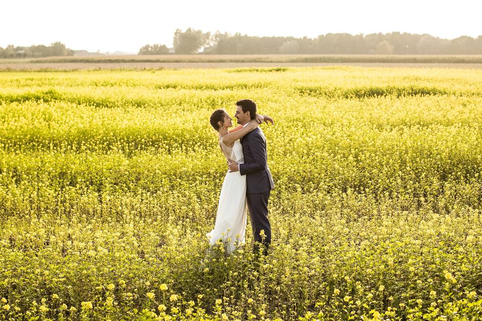 A Belgian flowerfield.