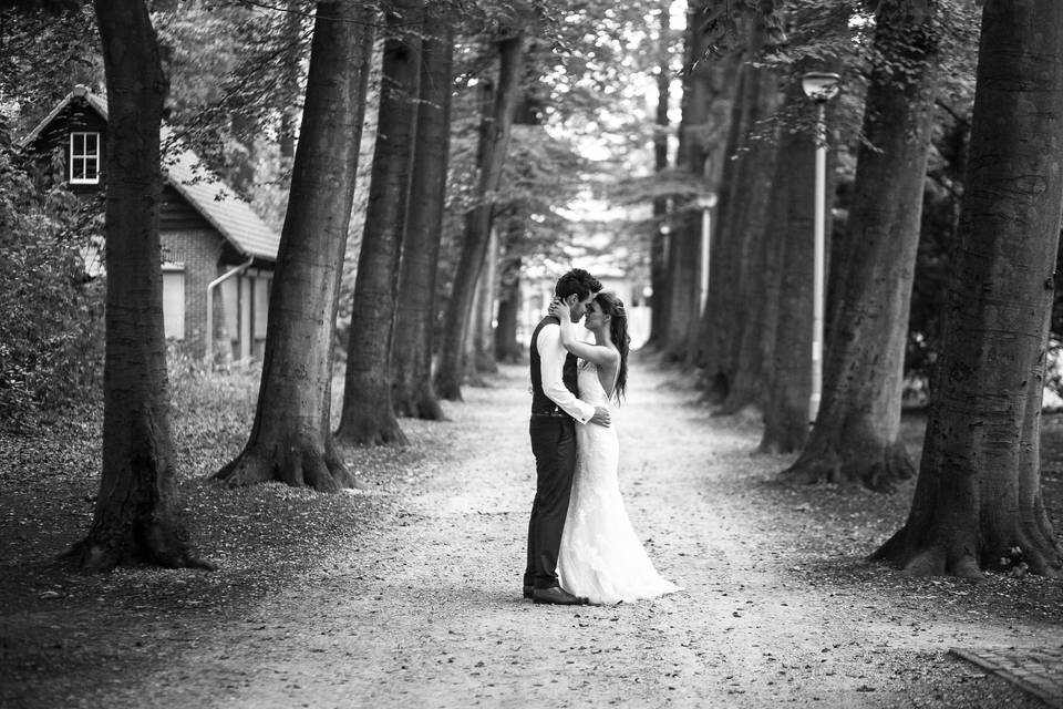 A Belgian forest shoot.