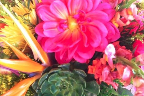 Arizona Flower Market - Wholesale Flowers, bulk flowers and supplies