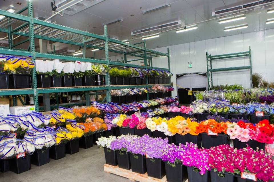 arizona flower market classes