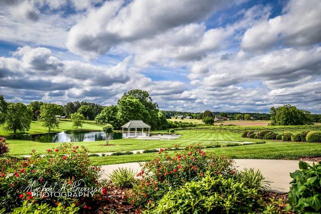 A Place in the Vineyard at Dennis Vineyards