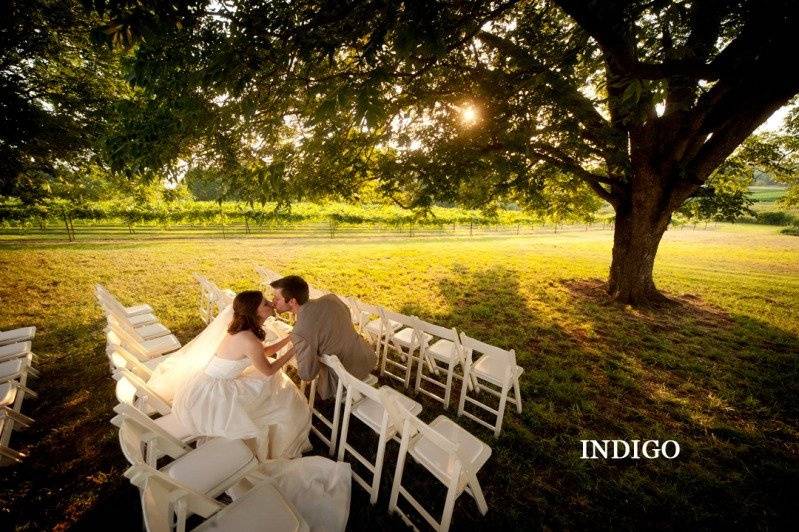 A tree ceremony