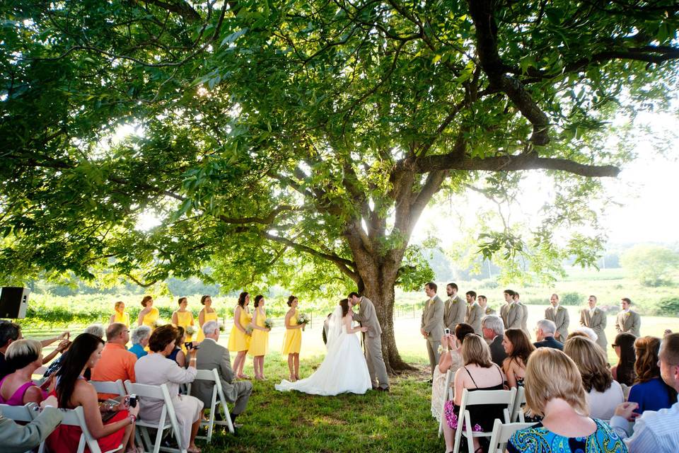 A tree ceremony